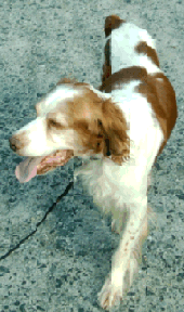 [verlinkte Grafik wurde nicht gefunden]