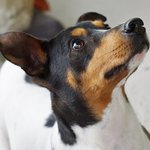 Duncan
