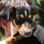 Lola