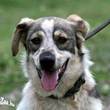 Bl�mchen