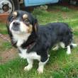 Cassy