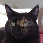 Leni