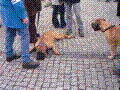 104.jpg