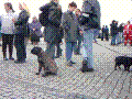 105.jpg