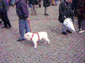 106.jpg