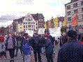 113.jpg