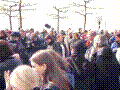 75.jpg