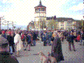 79.jpg
