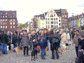 85.jpg