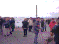87.jpg
