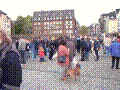88.jpg