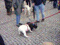 89.jpg