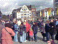 91.jpg