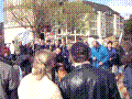 98.jpg