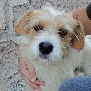 Anzeige Aramis1 lesen