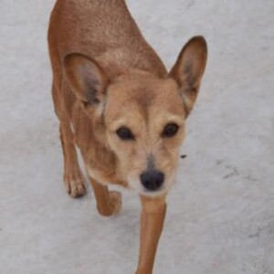 Anzeige Bilma1 lesen