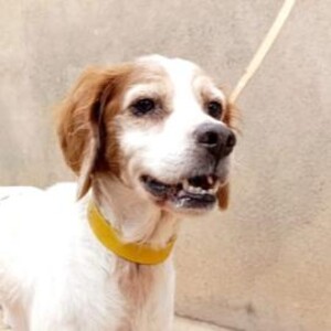 Anzeige Brett1 lesen