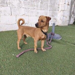 Anzeige Bruno11 lesen