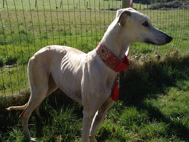 Hera