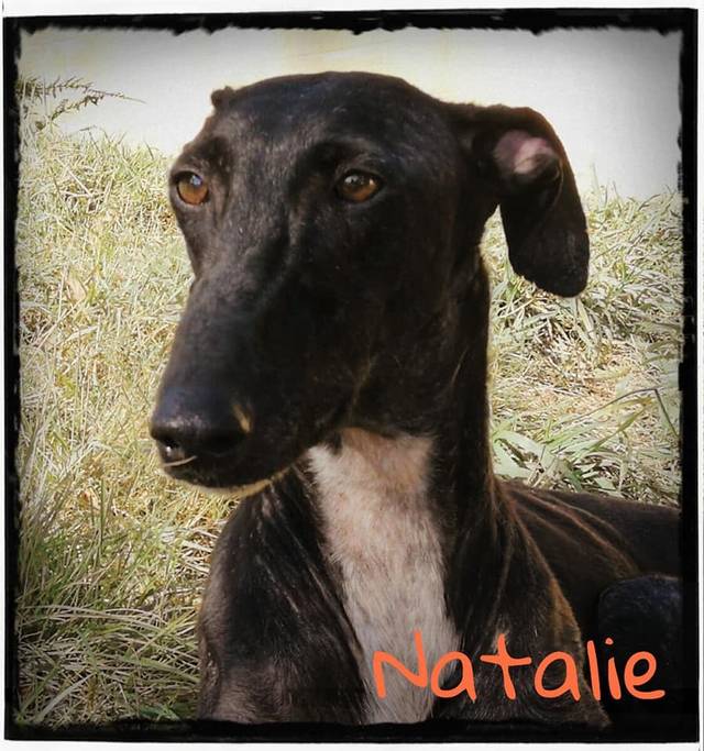 Nathalie
