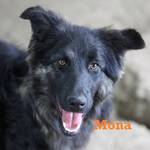 Mona