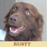 Anzeige Rusty lesen