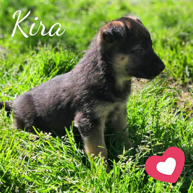 Kira