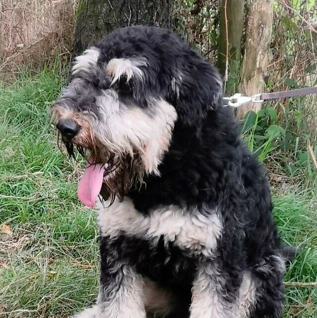 Max