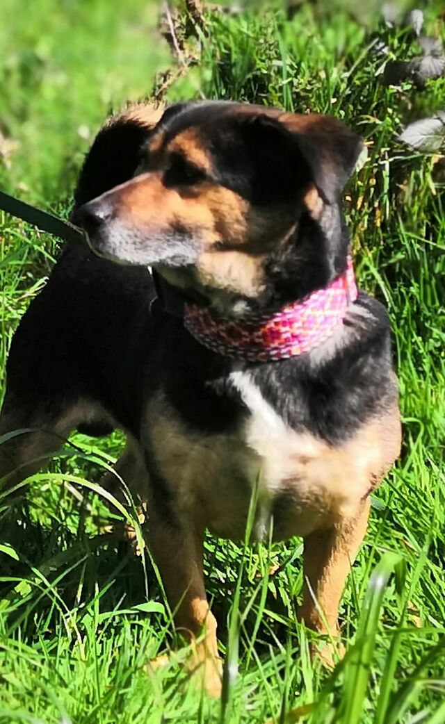 Tobi