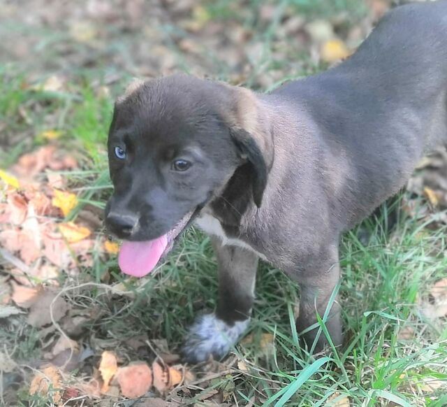 Rita