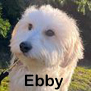 Ebby