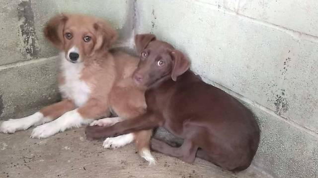 Tina & Tinka