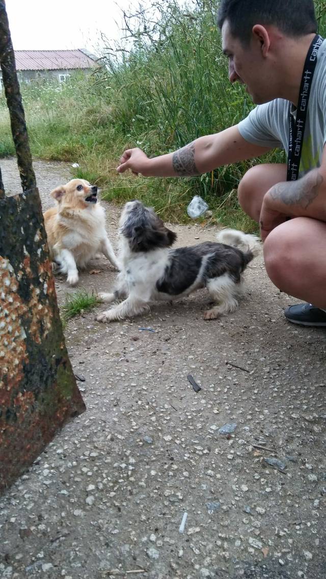 Tim & Tini