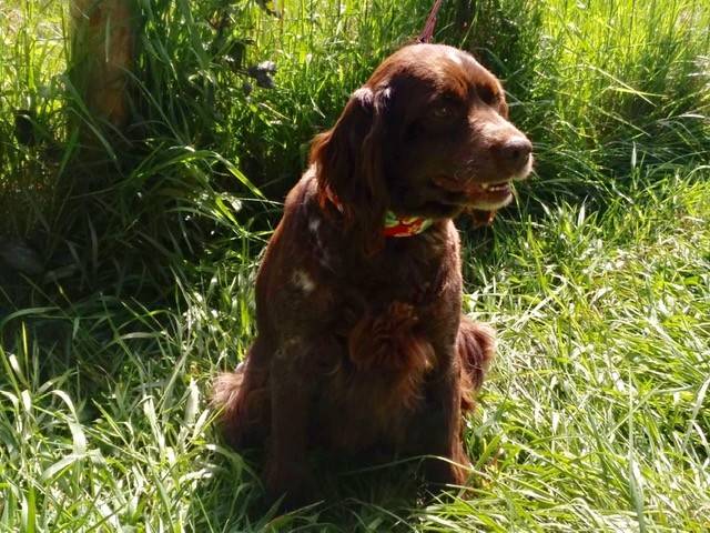 Luc