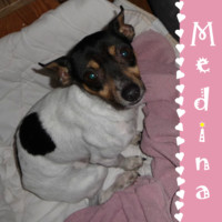 Anzeige MEDINA lesen
