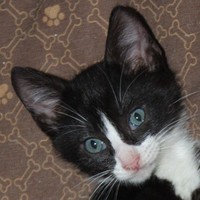 Tom