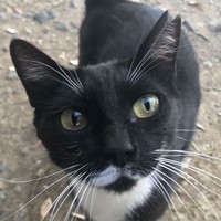 Maggie