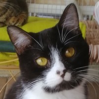 Prinzessin Plüsch