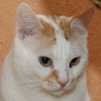 Clinton