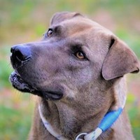 Duke