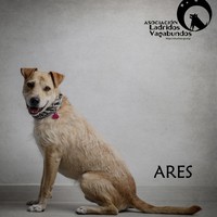 Anzeige Ares lesen