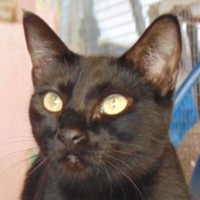 Helen (Deutschland)
