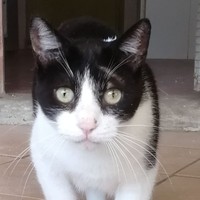 George