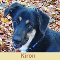 Anzeige Kiron lesen