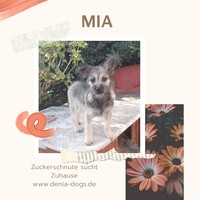 Anzeige Mia lesen