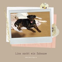 Anzeige Lina lesen