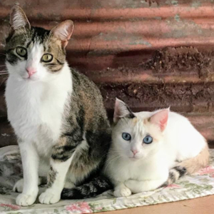 Cara & Barbero