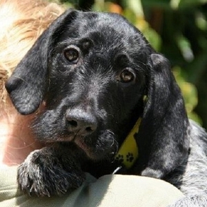 Agatha