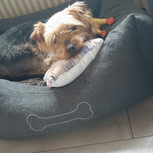 Max