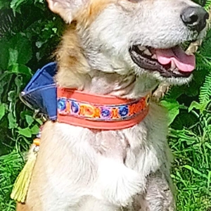 Alan 